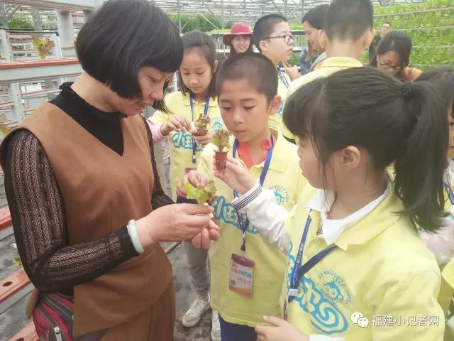 【圍觀】福建小記者走進(jìn)農(nóng)場(chǎng)體驗(yàn)農(nóng)耕樂趣