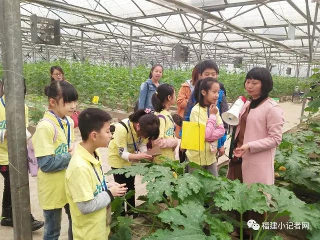 【圍觀】福建小記者走進(jìn)農(nóng)場(chǎng)體驗(yàn)農(nóng)耕樂趣