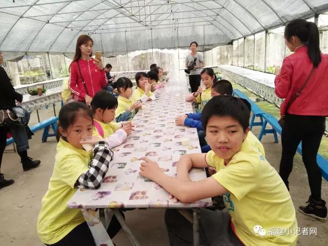 【圍觀】福建小記者走進(jìn)農(nóng)場(chǎng)體驗(yàn)農(nóng)耕樂趣