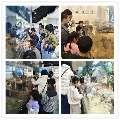 邂逅百年學府，點燃科學夢想 ——“閩都科普研學行”福建師范大學站圓滿落幕