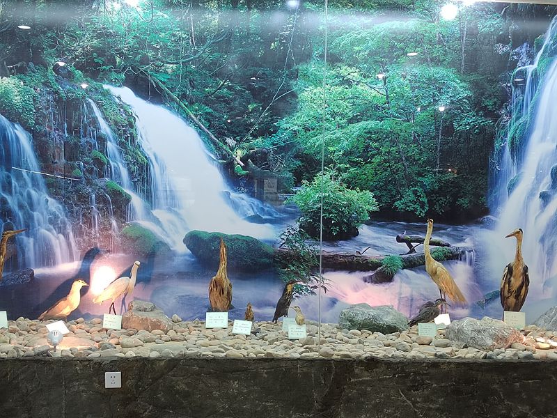 動(dòng)植物標(biāo)本分館