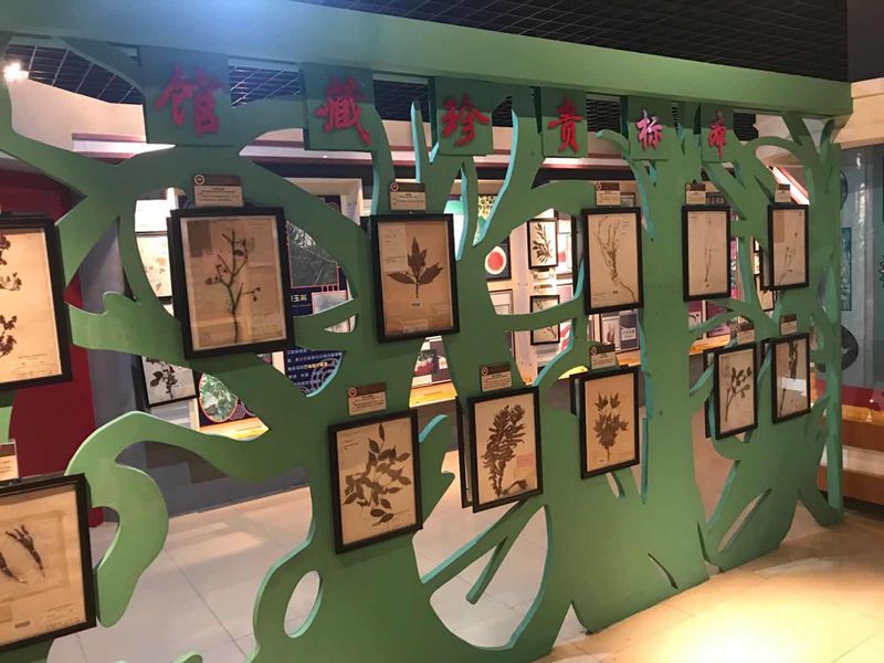 動(dòng)植物標(biāo)本分館