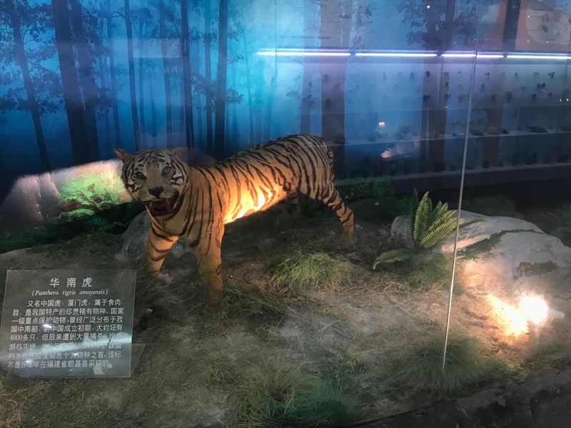 動(dòng)植物標(biāo)本分館