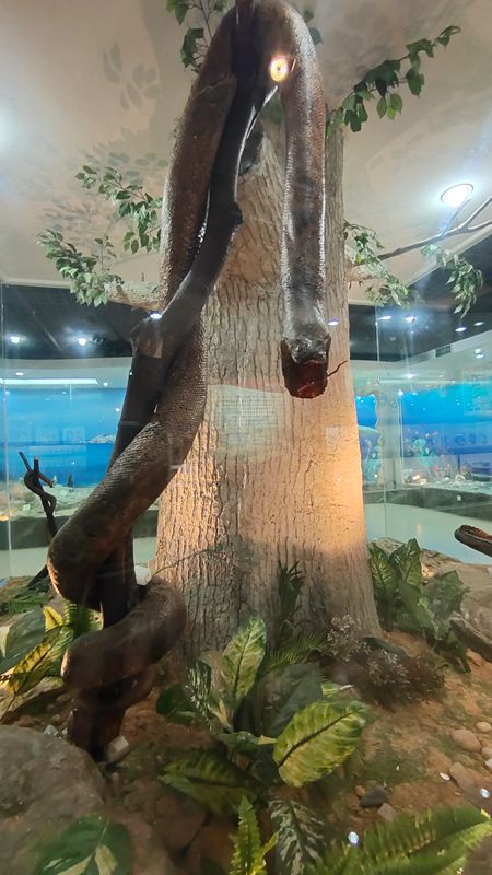 動(dòng)植物標(biāo)本分館