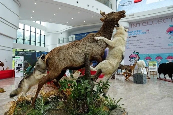 福州科技館新館國(guó)慶科普臨展活動(dòng)今日火熱啟動(dòng)