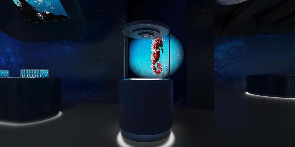 奇奇怪怪的海洋生物 奇奇怪怪的海洋生物