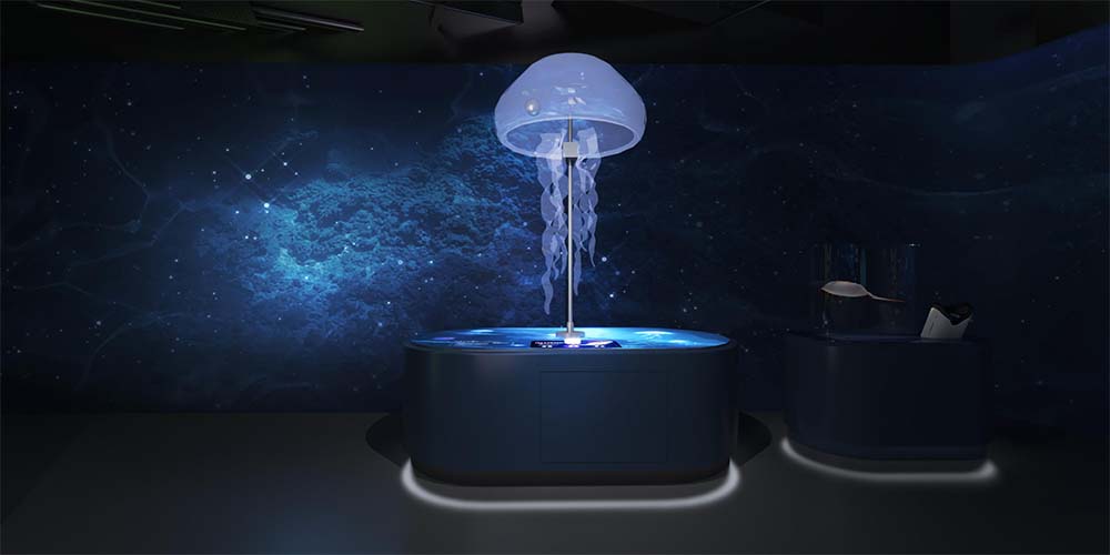 預(yù)知風(fēng)暴的水母