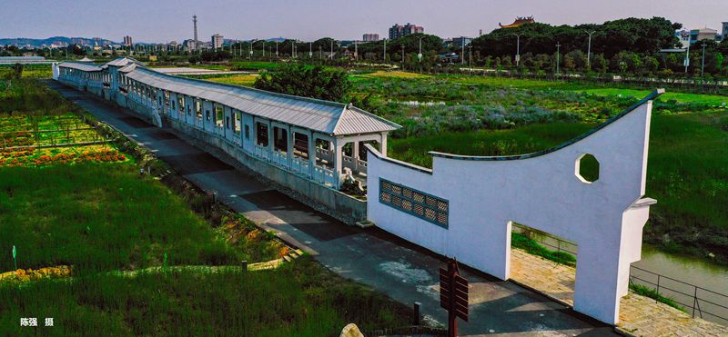 閩江河口濕地分館