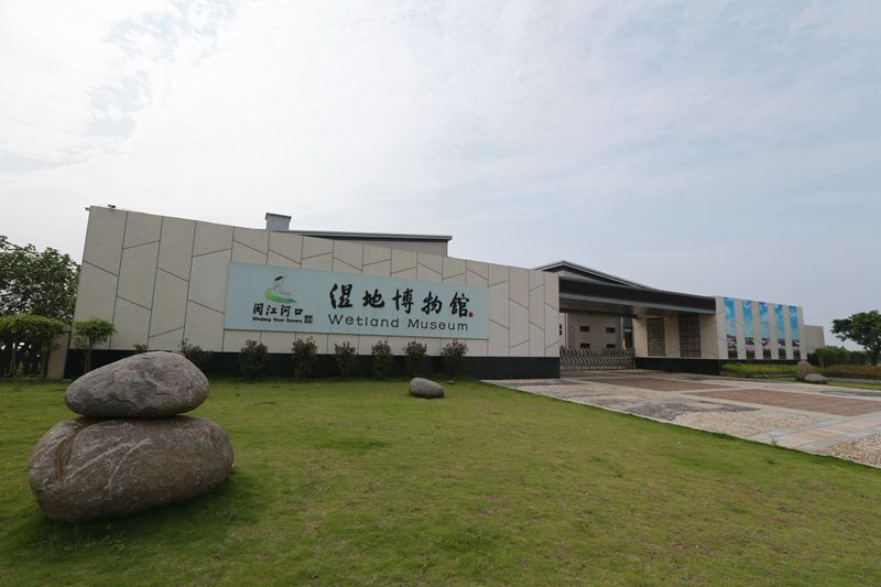閩江河口濕地分館