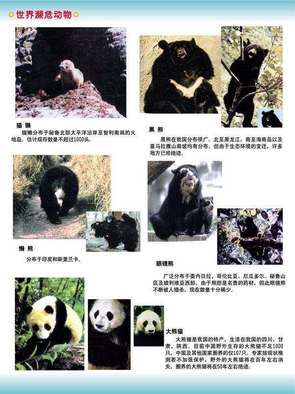 世界瀕危動(dòng)物
