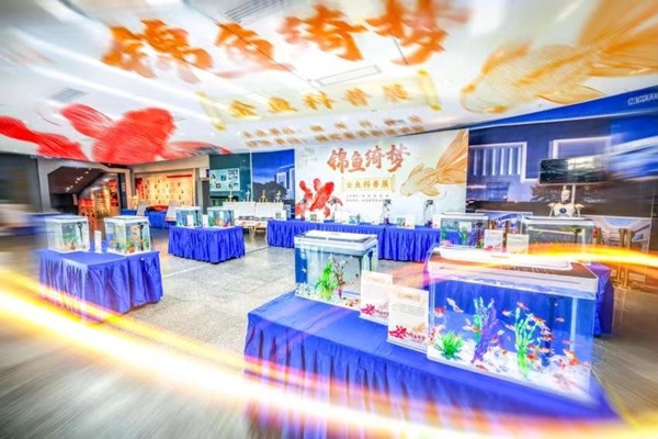 正月初三，就來福州科技館！新春科普游園活動(dòng) “龍”重回歸