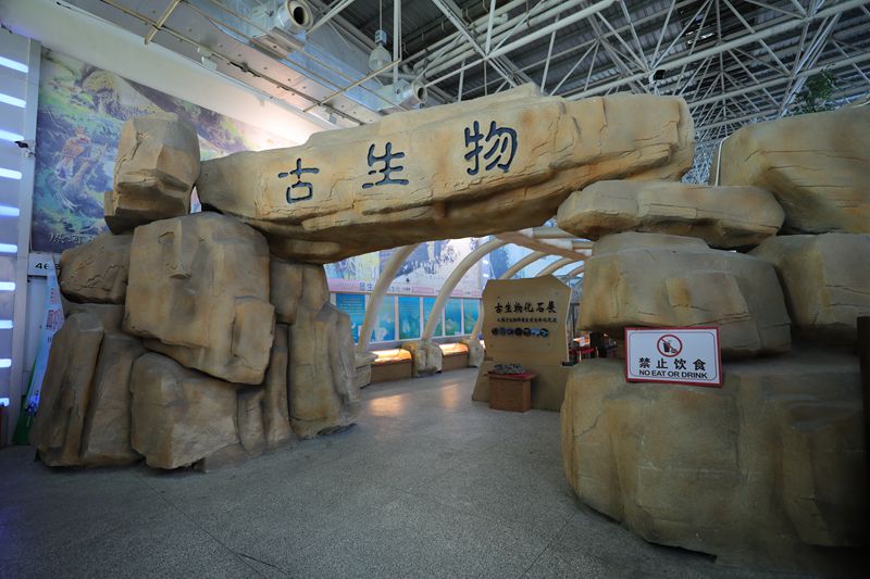 古生物化石