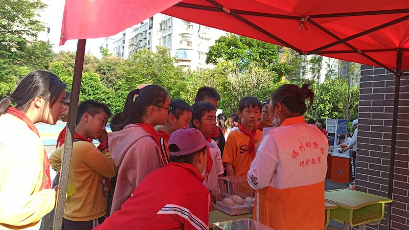 福州動(dòng)物園參加科普進(jìn)校園系列活動(dòng)（福州市第八中心小學(xué)）