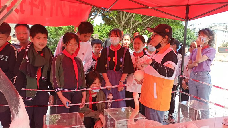 福州動(dòng)物園參加科普進(jìn)校園系列活動(dòng)（金山中學(xué)）