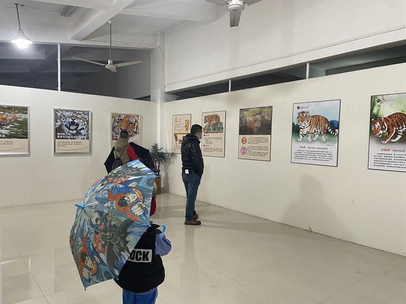 虎年生肖文化展科普活動