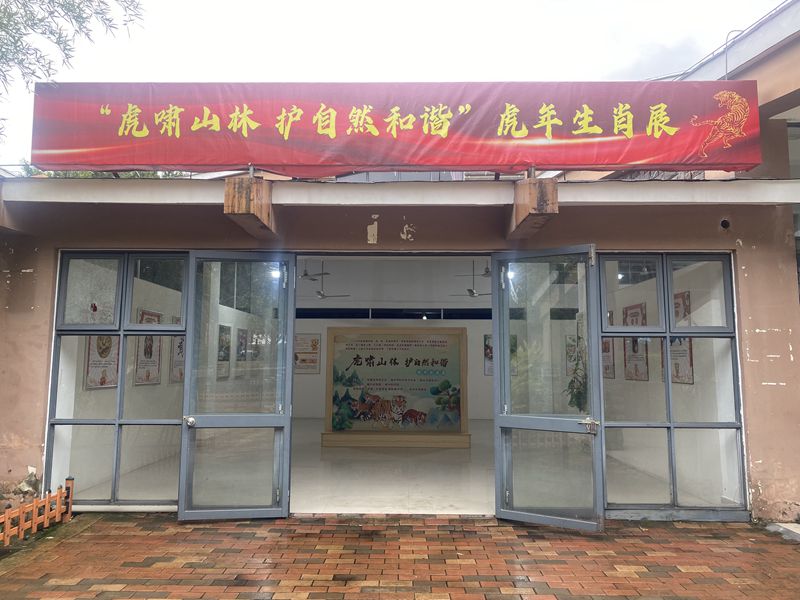 虎年生肖文化展科普活動