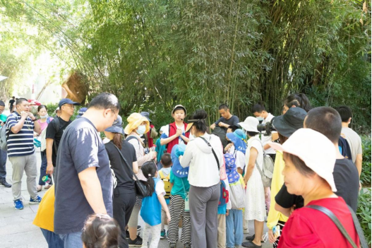 福州植物園舉辦“童眼觀生態(tài)”之“竹”夠有趣科普課堂活動(dòng)