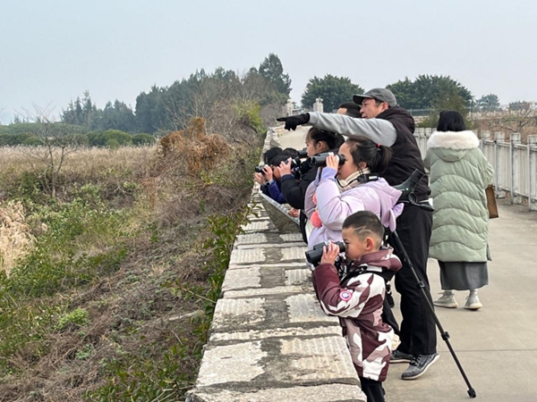 閩江河口濕地舉行“2024年世界濕地日｜濕地與人類福祉”主題研學(xué)活動(dòng)