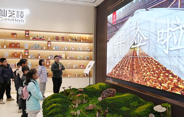 靈芝閩都研學行：探秘「仙草」背后的科學密碼