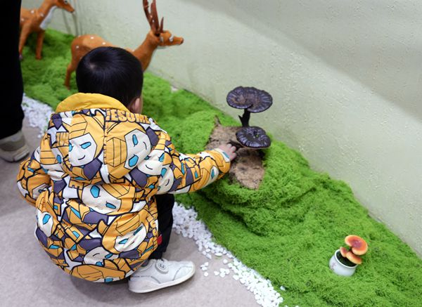 靈芝閩都研學行：探秘「仙草」背后的科學密碼