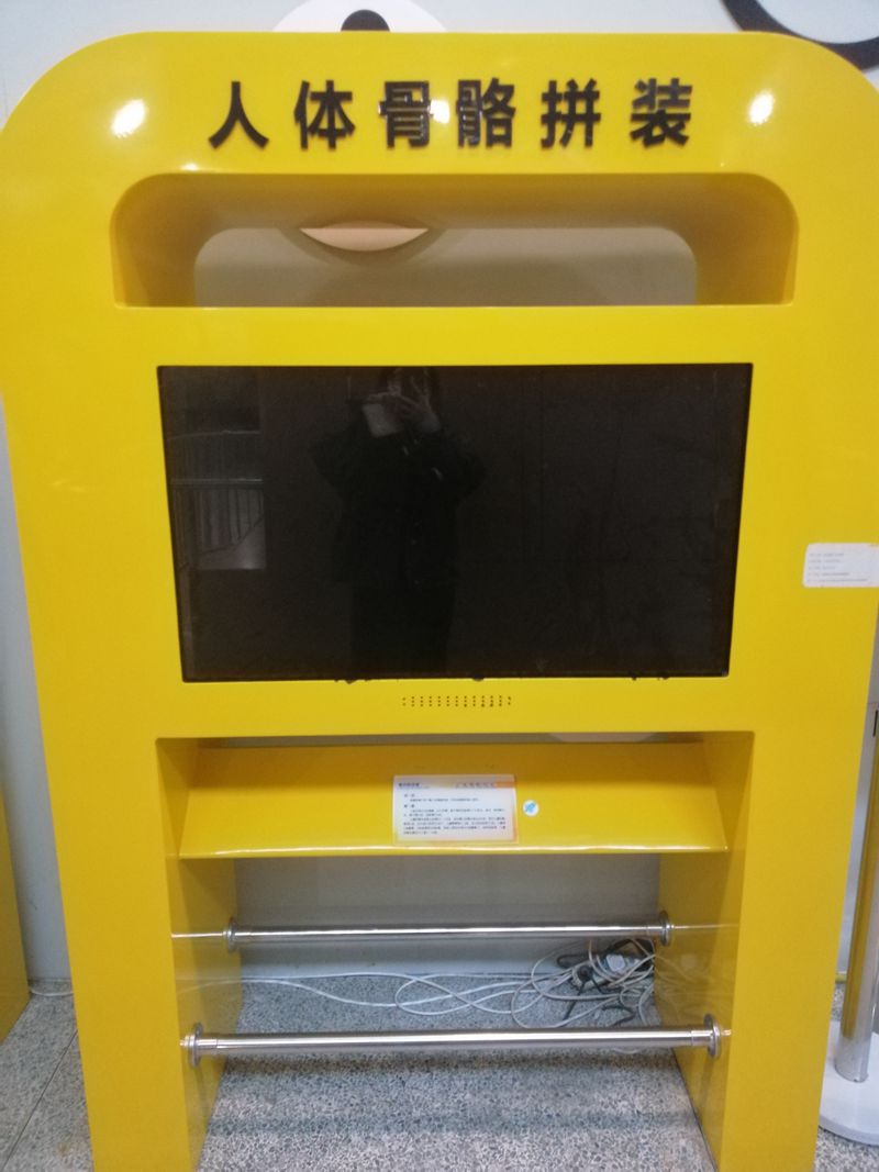 人體骨骼拼裝