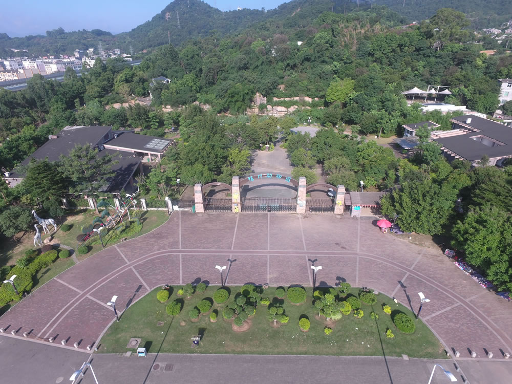 動(dòng)物園分館