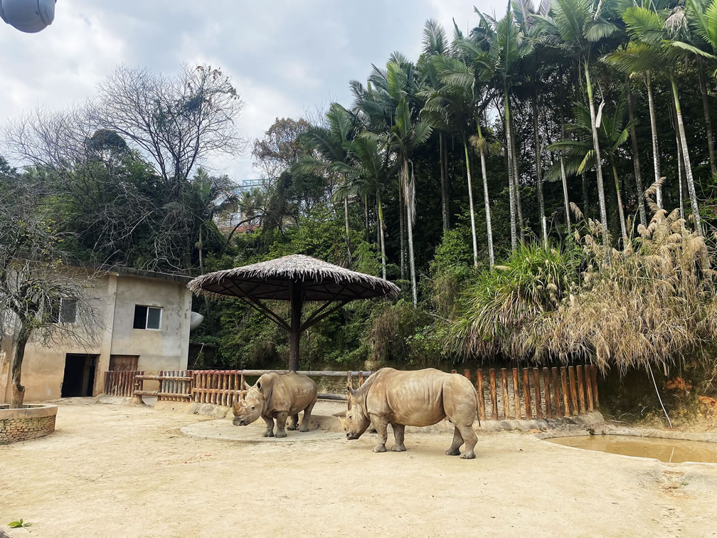 動(dòng)物園分館