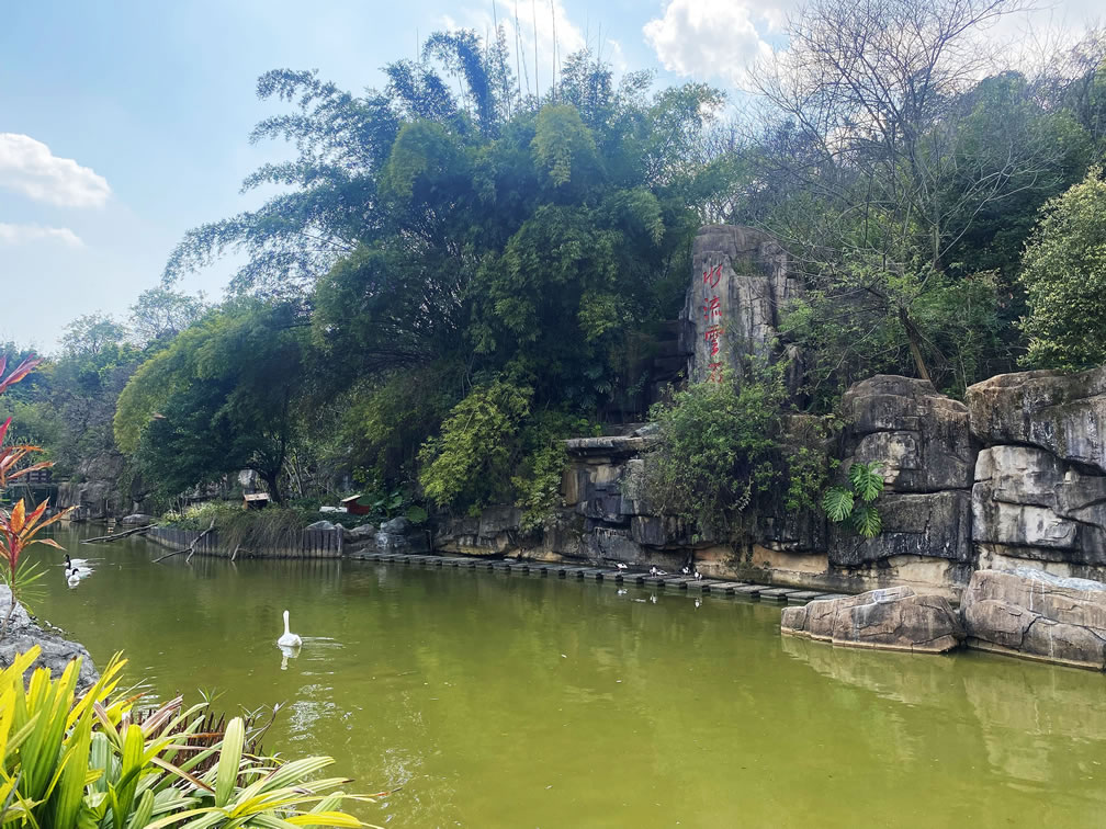 動(dòng)物園分館