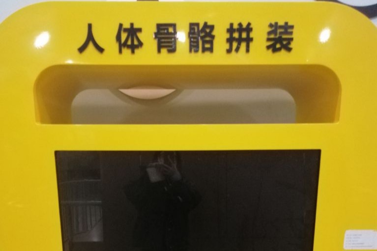 人體骨骼拼裝