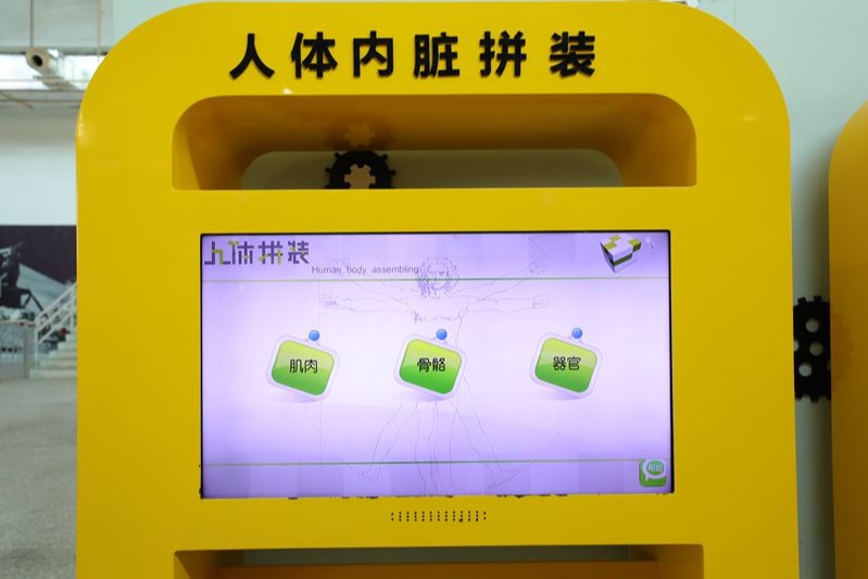 人體內(nèi)臟拼裝