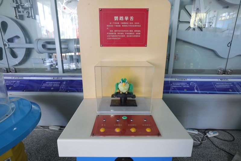 鸚鵡學(xué)舌