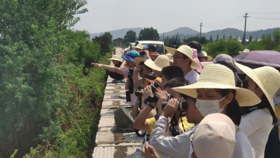 閩江河口濕地舉行2022年全國科普日暨國際海岸清潔日科普宣教活動