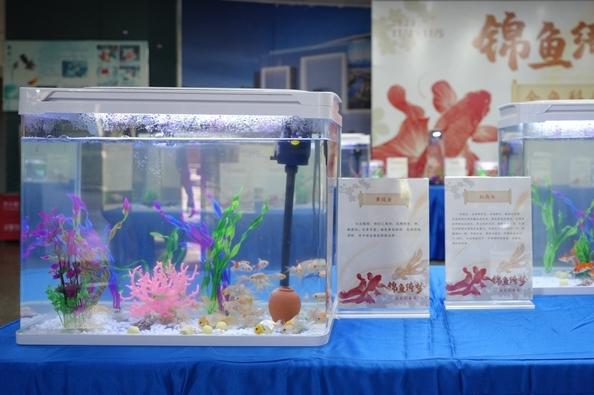 “錦魚(yú)·綺夢(mèng)”金魚(yú)科普展在福州科技館舉行