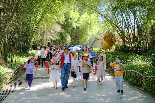 科普“童”行 愛(ài)在植物園——慶?！傲弧眹?guó)際兒童節(jié)主題活動(dòng)