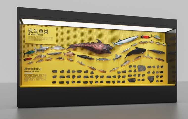 魚類展示柜
