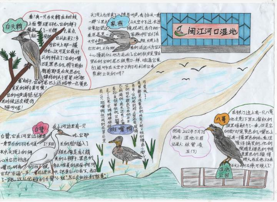 2022年全國(guó)濕地自然筆記接力賽閩江河口濕地觀(guān)鳥(niǎo)實(shí)踐活動(dòng)