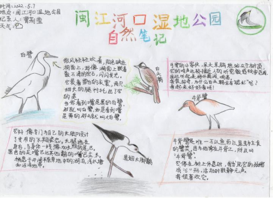 2022年全國(guó)濕地自然筆記接力賽閩江河口濕地觀(guān)鳥(niǎo)實(shí)踐活動(dòng)