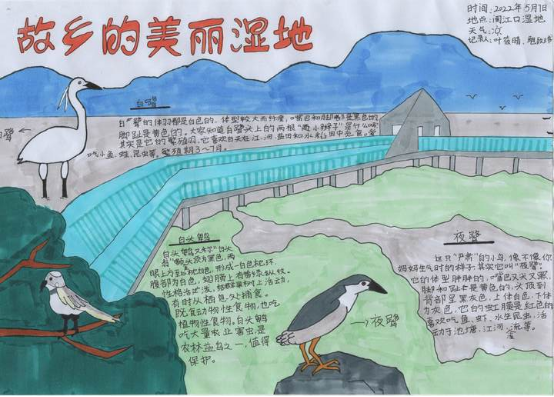 2022年全國(guó)濕地自然筆記接力賽閩江河口濕地觀(guān)鳥(niǎo)實(shí)踐活動(dòng)