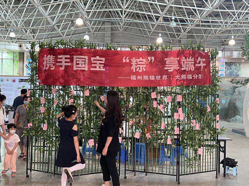 海峽（福州）大熊貓研究中心開(kāi)展 “攜手國(guó)寶，“粽”享端午”科普活動(dòng)