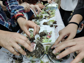 建設(shè)節(jié)水型城市，推動(dòng)綠色低碳發(fā)展