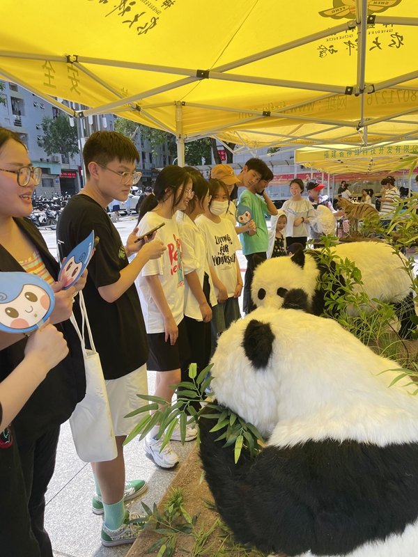 大熊貓帶你一起做個減塑行動派 環(huán)保袋袋傳