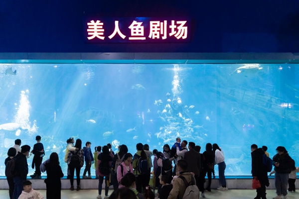 2023年福州科技館分館游學(xué)系列活動(dòng)暨3.3“世界野生動(dòng)植物日——野生動(dòng)植物保護(hù)伙伴關(guān)系之中華白海豚傘護(hù)效應(yīng)”活動(dòng)簡(jiǎn)報(bào)