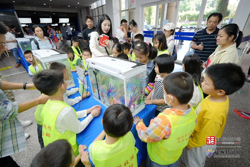 “錦魚·綺夢”金魚科普展在福州科技館舉行