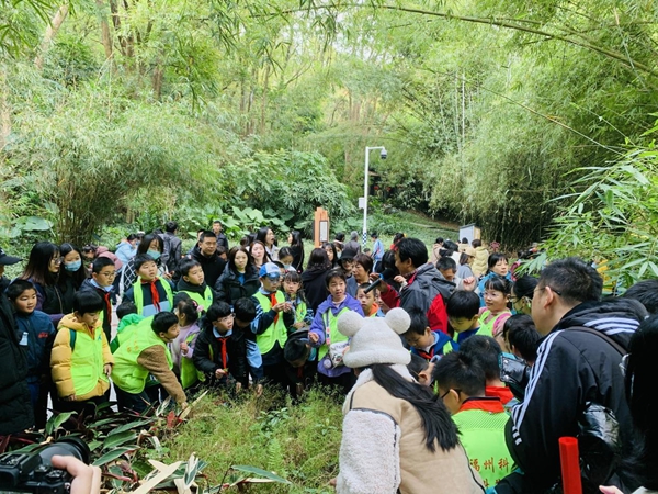 福州科技館開展312植樹節(jié)——“擁抱春天，探索大自然的奧秘”分館研學活動