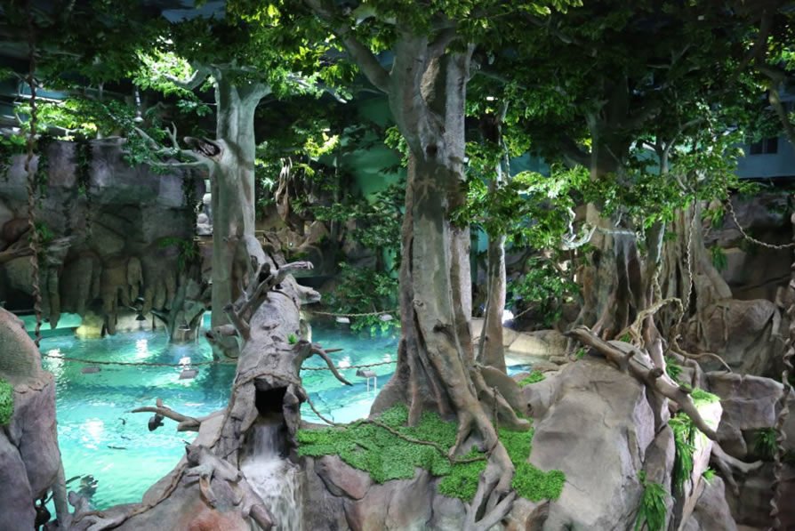 海洋知識(shí)分館