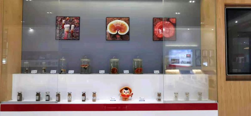 靈芝知識(shí)分館