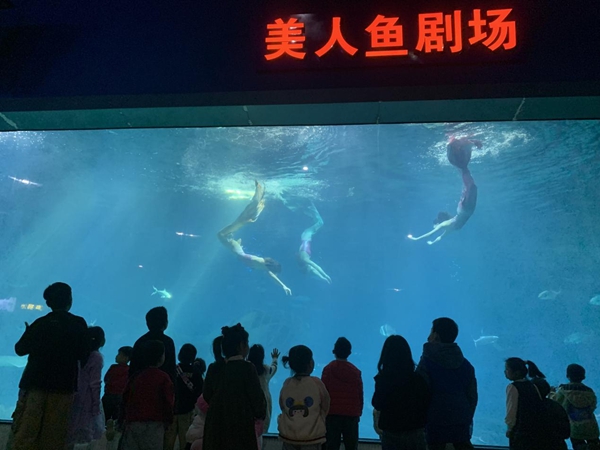 2023年福州科技館分館游學(xué)系列活動暨3.3“世界野生動植物日——野生動植物保護(hù)伙伴關(guān)系之中華白海豚傘護(hù)效應(yīng)
